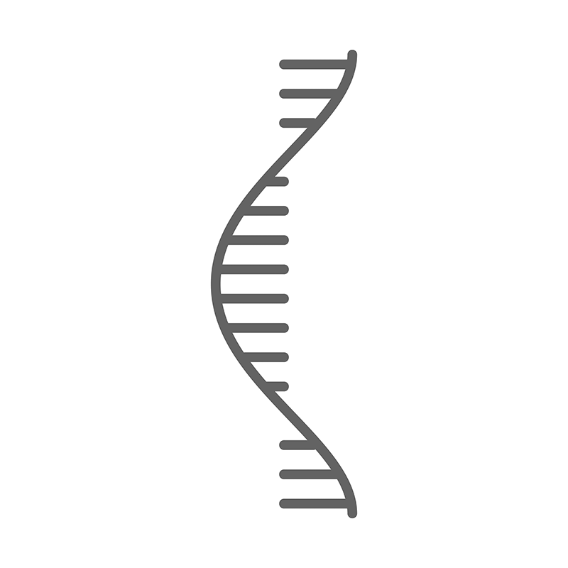 RNA Purification